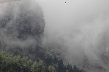 Paisajes Estacion de Canfranc - 2024 - 063