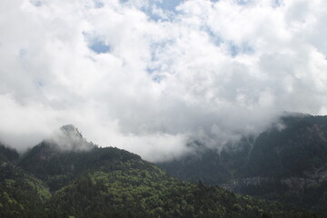 Paisajes Estacion de Canfranc - 2024 - 116