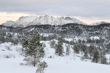 Snow landscape in the mountains of arctic Norway in winter