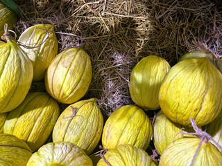 An Organic Fruit Delicious Watermelon in a Bazaar
