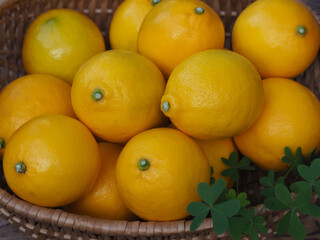 日本産レモンいっぱいアップ画像