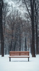 isolated park bench against snowy winter forest backdrop, serene and minimal, focus on simplicity and seasonal beauty