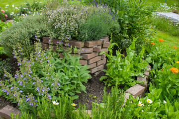herb spiral in the garden with fresh herbs