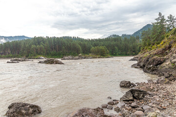 Manzherok rapids (or Manzheroksky thresholds or Manzheroksky barriers) on the Katun River. Manzherok village, Altai republic, Russia