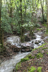 Paisajes Estacion de Canfranc - 2024 - 158