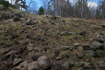 Spring nature of the Republic of Karelia. The ancient stone Labyrinth
