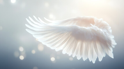 Fototapeta premium A serene depiction of angelic wings, symbolizing freedom and spirituality.