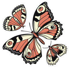 Butterfly wings arranged in a kaleidoscope-like effect with vibrant colors