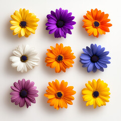 Colorful arrangement of vibrant flowers in various shades showcasing natural beauty.