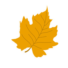 Autumn leaf illustration. Autumn leaf illustration leaves falling in autumn time 