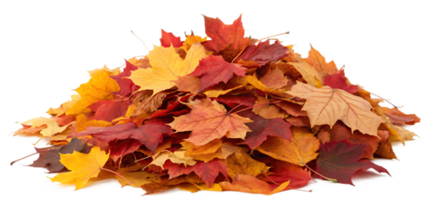 pile of autumn leaves isolated on white background.AI GENERATED