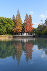 Obraz premium Ancient pavilion and cedar tree reflections in autumn
