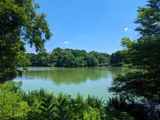 New York City - Central Park