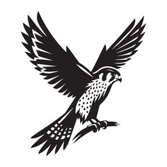 Obraz premium American Kestrel silhouette vector style white background.