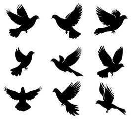 Fototapeta premium Silhouettes of Birds in Flight with Varied Wing Spreads