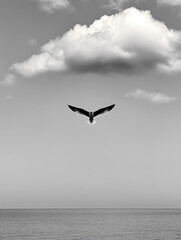 Naklejka premium Seagull gliding over calm ocean under cloudy sky