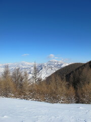 winter mountain landscape with Snow-capped mountain