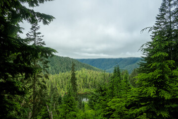Thick Layer Of Clouds Covers The Hoh Rainforest and Elk Lake
