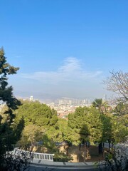 Fototapeta premium Tree and city