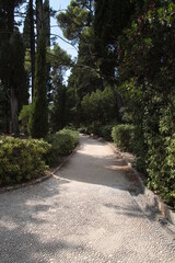 Fototapeta premium Dubrovnik – Lokrum Island, paths leading through places overgrown with wonderfully lush vegetation. Photos August 2024. An attraction worth spending time and vacation on.