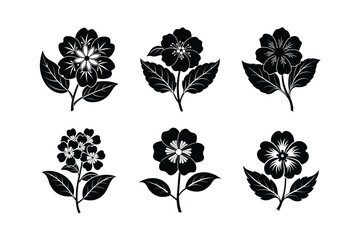 Japanese primrose flower silhouette vector illustration.