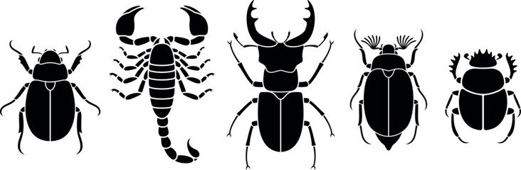 Beetle logo. Isolated beetle on white background