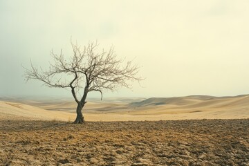 Fototapeta premium A lone, barren tree stands resilient in a vast desert landscape, embodying strength and solitude under the vast, muted sky.