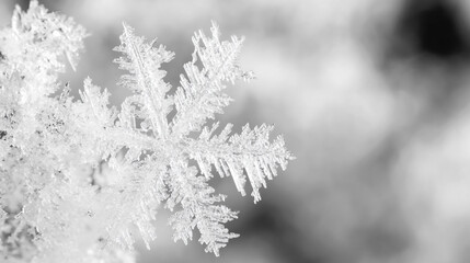 Delicate snowflake resting on white surface glistens in winter light