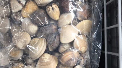 Frozen clams in plastic bags