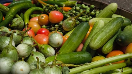 Fresh vegetables for cooking. Vegetables contain dietary fiber that helps cleanse the intestines.