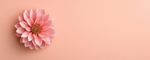 Naklejka premium A delicate pink flower rests on a muted peach background, creating a soft, serene aesthetic ideal for design or floral themes.