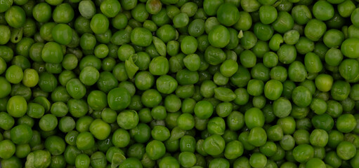 Green peas background. Pea pods from farmland. Pea freshly picked. Organic fresh vegetables. Healthy eating. Country garden harvest.