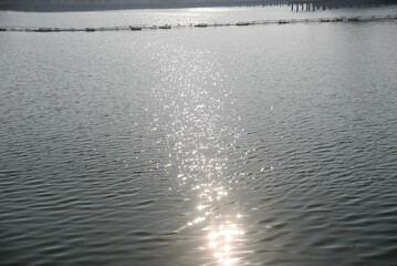 Selective focus of sparkling water with wave motion reflecting the bright sunlight with a very soft bokeh
