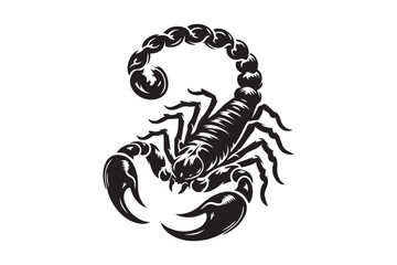 Scorpion Vector Illustration Free EPS Download
