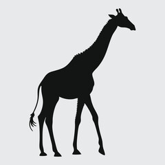 Giraffe image silhouette vector art and illustration