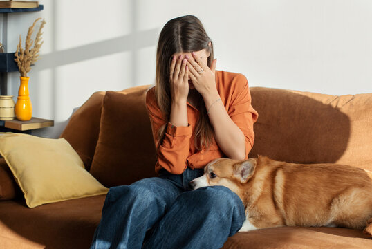 Young woman crying sitting on sofa with her Corgi dog lying nearby, placing head on female laps