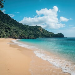 beach with sky