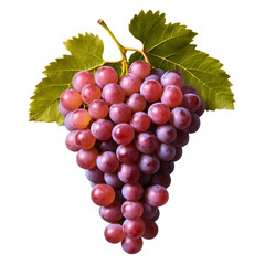Bunch of Fresh Grapes with Green Leaves