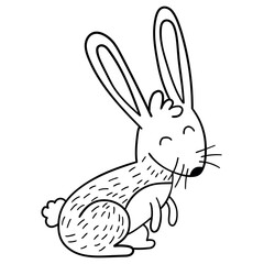 Hand drawn doodle cute rabbit or hare on white background.