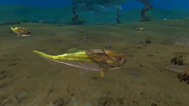  Prehistoric armoured fish coccosteus