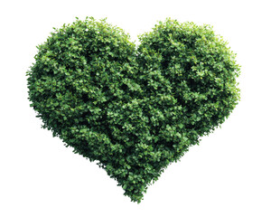 A heart-shaped bush made of lush green leaves against a white isolated background, symbolizing love and nature's beauty.