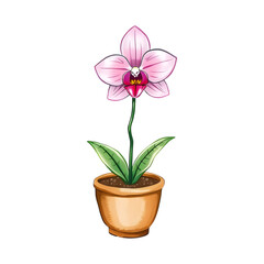 Obraz premium Small Potted Orchid Illustration