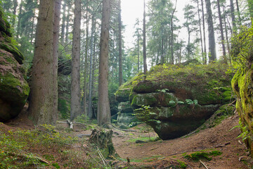 Landscape with picturesque rocks in the forest. Table mountains in Poland