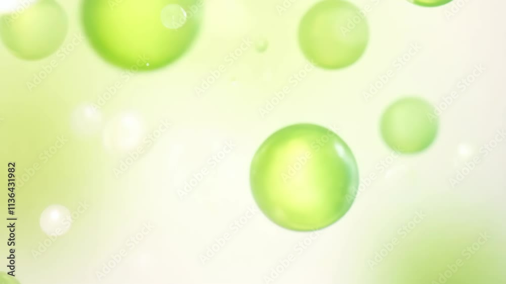 Leinwandbilder bright green abstract background with soft bubbles and light patterns creating a serene atmosphere f