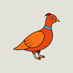 partridge