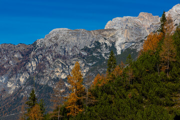 Autumn mountains. Alps in autumn colors. Dolomites beautiful yellow tree leaves autumn landscape. Alpine scenery of golden autumn