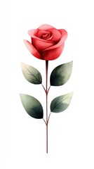 Obraz premium Beautiful red rose on a minimalistic background, symbolizing love and passion.