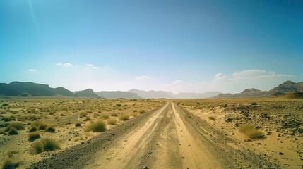 Fototapeta premium a straight and beautiful road that stretches across a barren and arid expanse of grassland