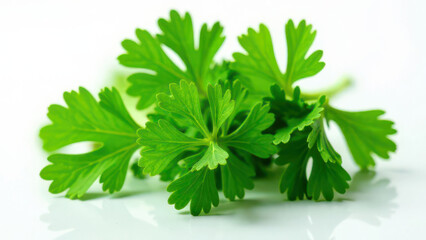 Fototapeta premium Fresh green parsley leaves on white background