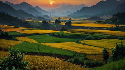 Obraz premium Impasto oil paiting: Beautiful panoramic landscape of a terrace fields in havest season in North Vietnam on the sunset